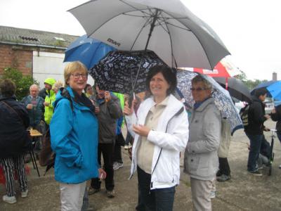 2015-05-31 Ochtendwandeling met brunch (11)