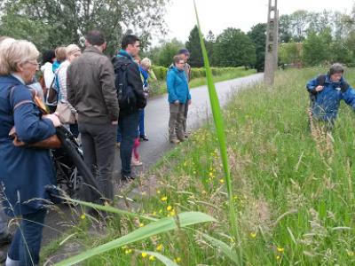 2015-05-31 Ochtendwandeling met brunch (25a)