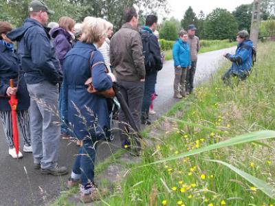 2015-05-31 Ochtendwandeling met brunch (25b)