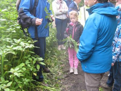 2015-05-31 Ochtendwandeling met brunch (28)