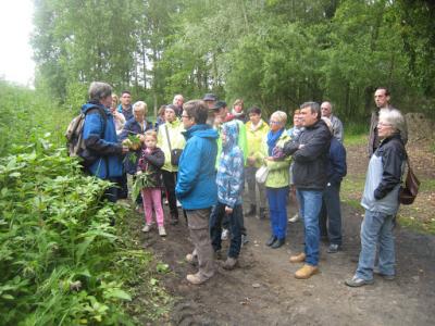 2015-05-31 Ochtendwandeling met brunch (29)