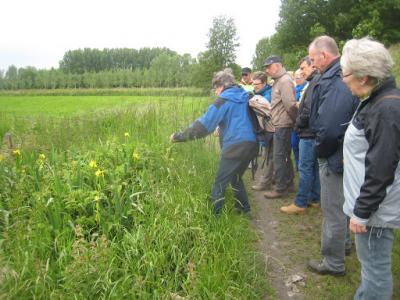 2015-05-31 Ochtendwandeling met brunch (33)