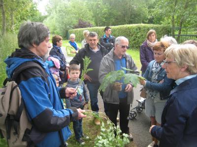 2015-05-31 Ochtendwandeling met brunch (33a) (2)