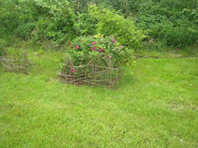2015-05-31 Ochtendwandeling met brunch (33a) (3)