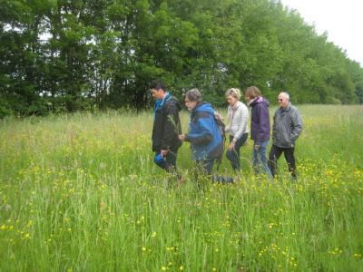 2015-05-31 Ochtendwandeling met brunch (36)