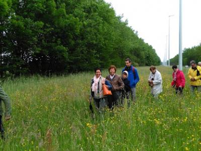 2015-05-31 Ochtendwandeling met brunch (37)