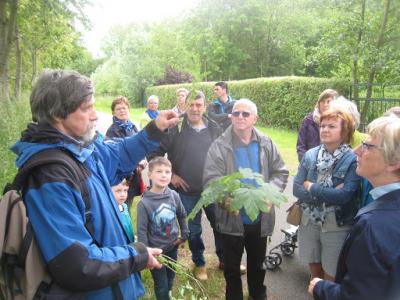 2015-05-31 Ochtendwandeling met brunch (38)