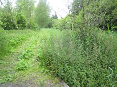 2015-05-31 Ochtendwandeling met brunch (48)