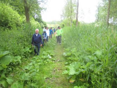 2015-05-31 Ochtendwandeling met brunch (50)