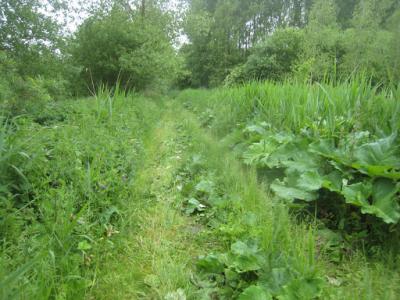 2015-05-31 Ochtendwandeling met brunch (54)