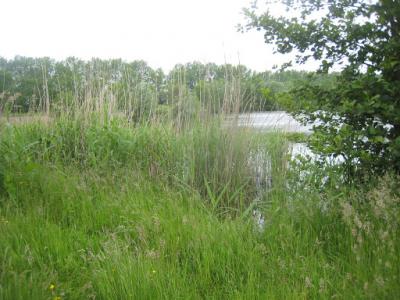 2015-05-31 Ochtendwandeling met brunch (59)